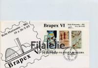 1985 BRASIL/PINTURAS/FDC 2108/Bl.67