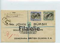 1924 DOMINICA KGV/REGIST. 2SCAN
