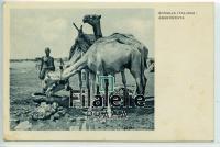 1936 CAMEL/SOMALIA POST/2SCAN