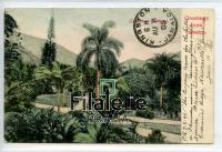 1905 JAMAICA/GARDENS POST/2SCAN