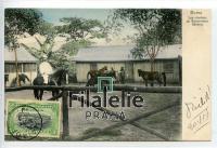 1919 HORSE/BELG.CONGO NEW