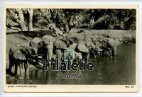 1955 ELEPHANT/KUT/RPPC POST/2SCAN