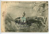 1903 GIRL/FRANCE TAXPOST/2SCAN